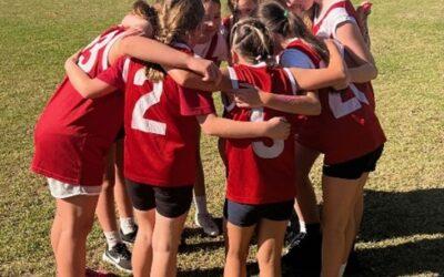 Grade 5/6 Update Term 2 – Week 4