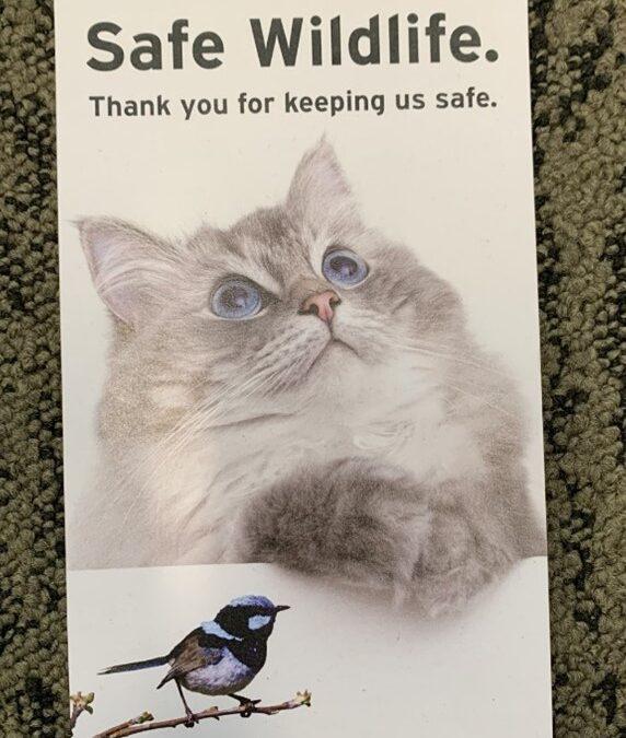 Grade 6 Fighting Extinction Team Update