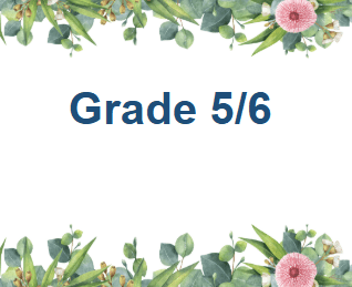 Grade 5 and 6