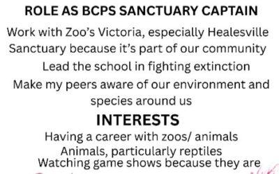 Grade 6 – Fighting Extinction Team Update