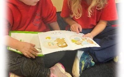 Prep Update, Term 2 – Week 6