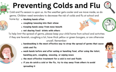 Cold and Flu Season
