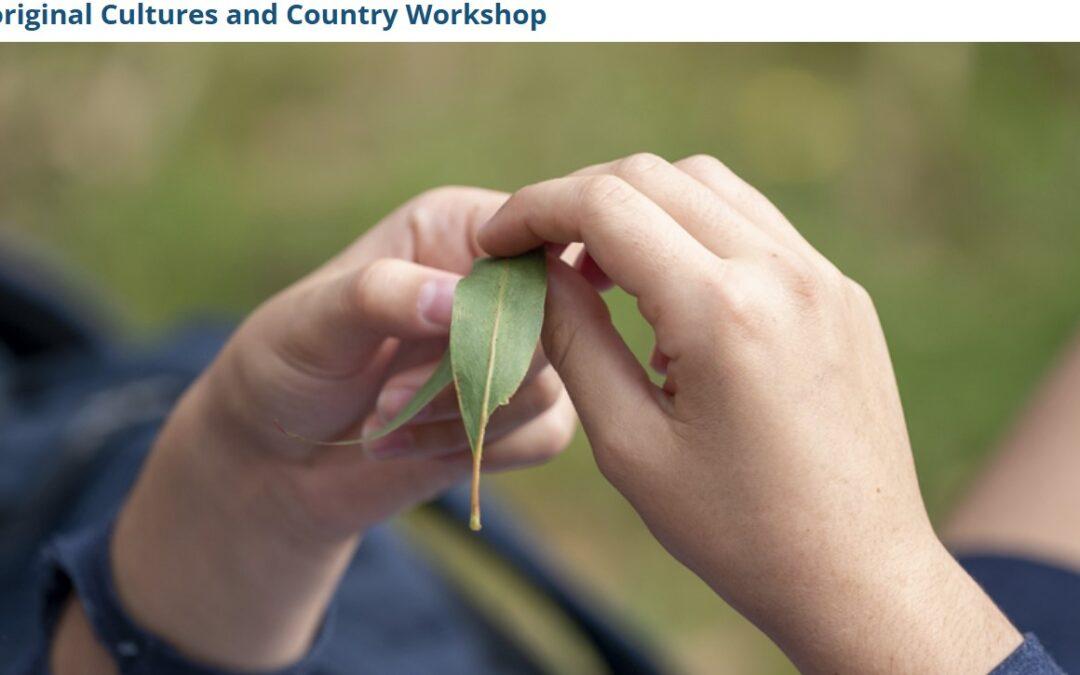 Aboriginal Cultures and Country Workshop – Healesville Sanctuary School Holiday Activity