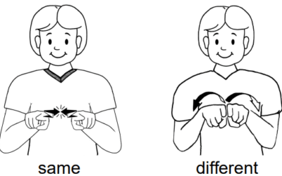 Auslan Update – Term 3, Week 4