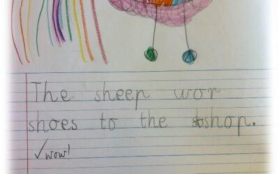 It has been a busy fortnight in Prep Land! Term 3 – Week 4 Update