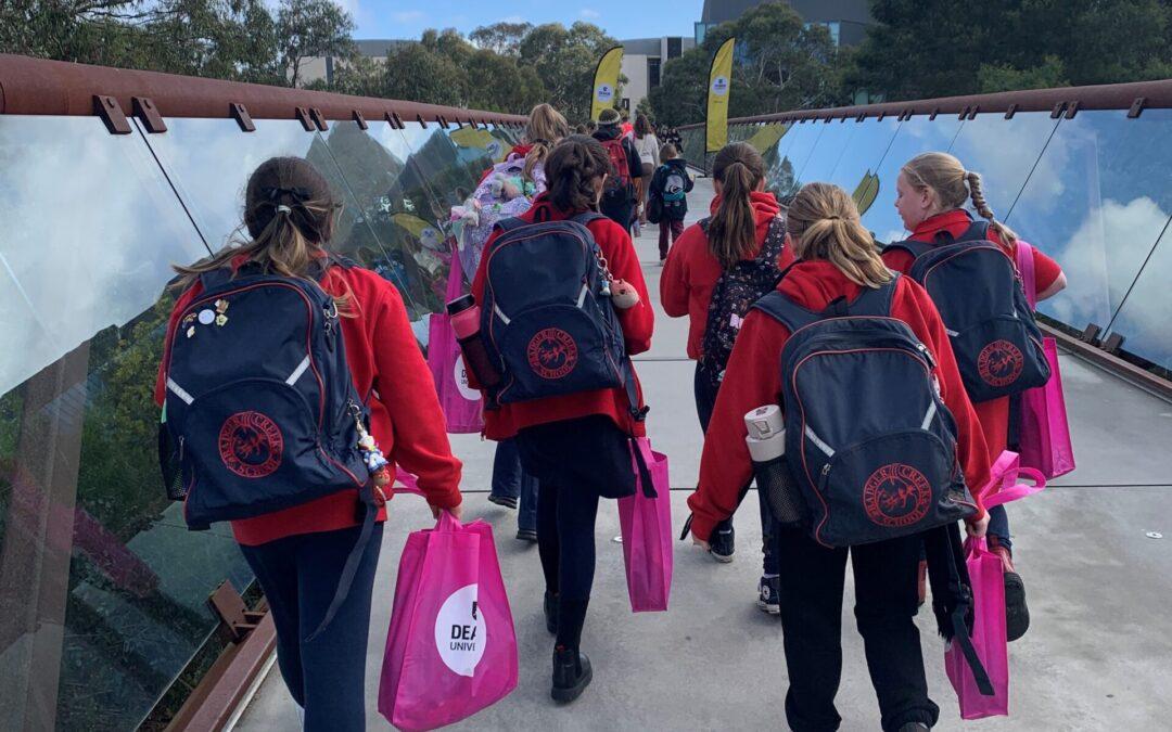 Grade 5&6 Week 6 Update – GO GIRL GO for IT