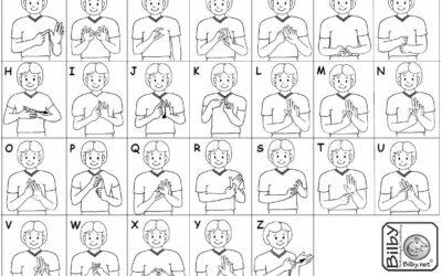 Auslan Update, Term 3 – Week 8
