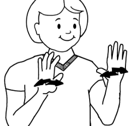 Auslan Update, Term 3 – Week 6