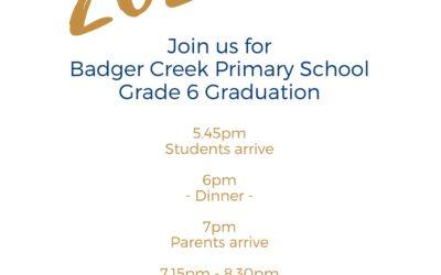 Grade 5/6 Update, Term 4 – Week 4
