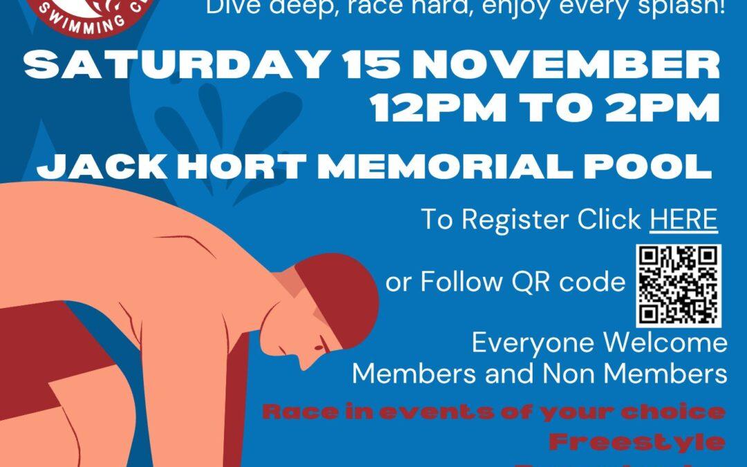 Healesville Swimming Club – Swim Carnival!