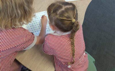 Grade 1/2 News, Term 4 – Week 8