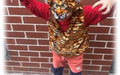 Prep News, Term 4 – Week 8