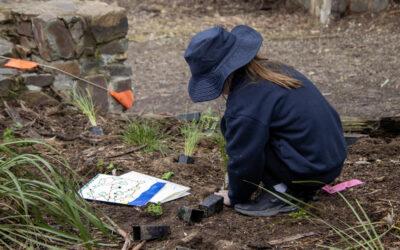 Your Local Environment is looking for Friends!