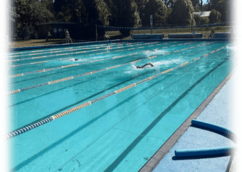 5/6 News, Term 1 – Week 5