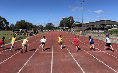 Grade 1/2 News, Term 1 – Week 7