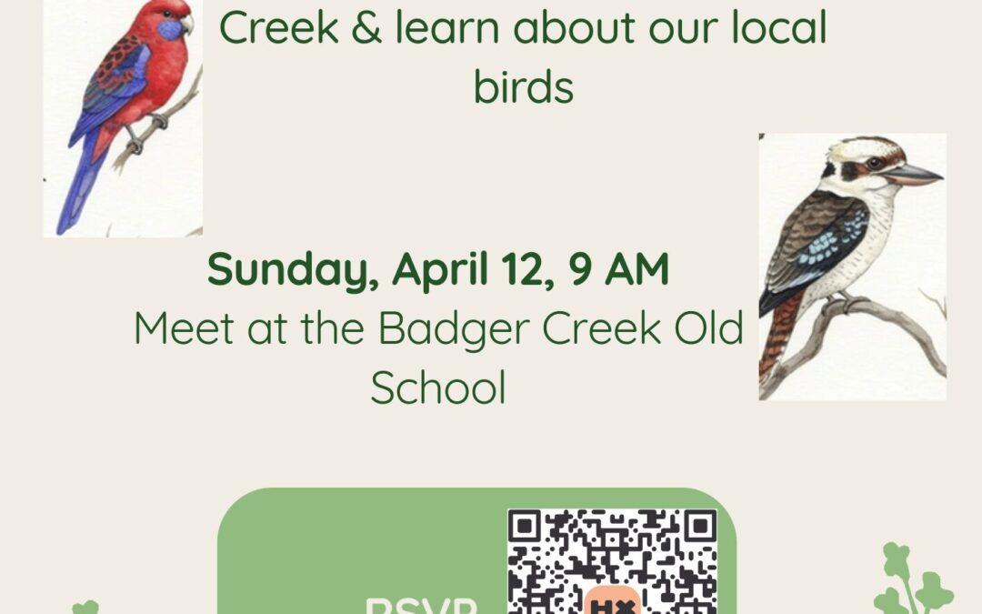 Local Bird Walk and Talk – Sunday April 12th 9am