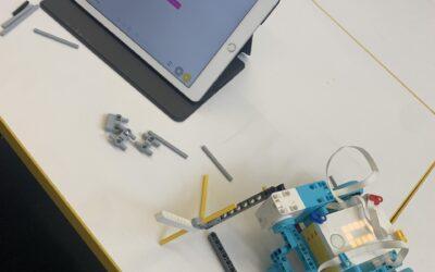 Grade 5/6 News, Term 2 – Week 4