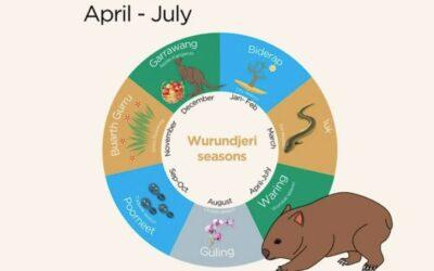 Grade 1/2 News, Term 2 – Week 4