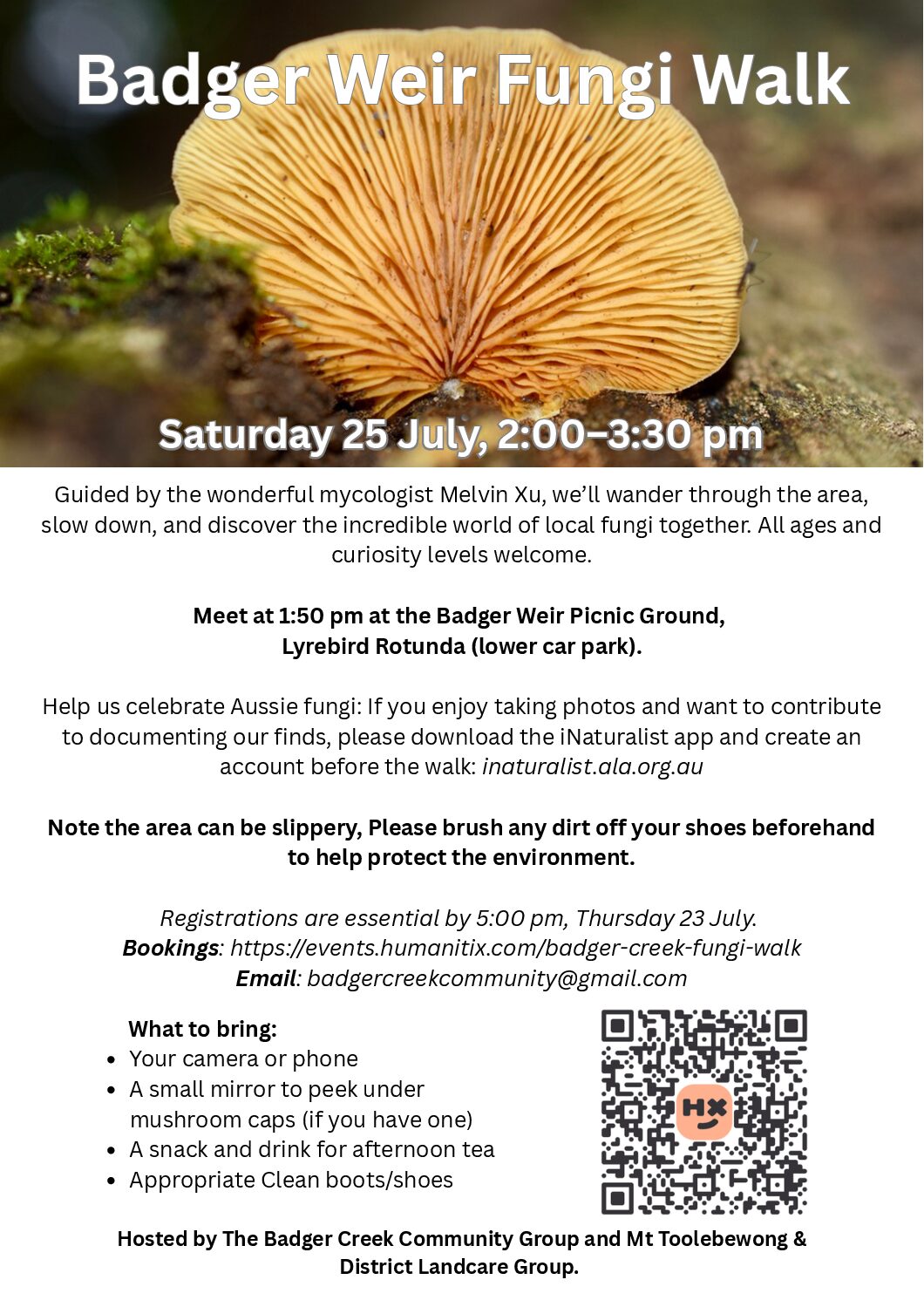 Badger Weir Fungi Walk