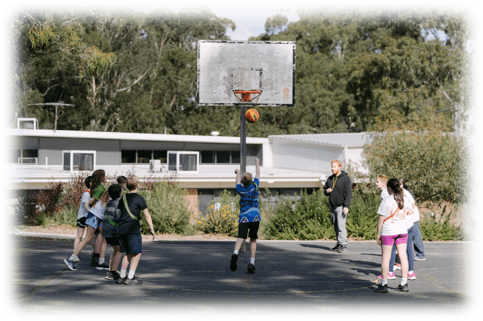 Grade 5/6 News, Term 3 – Week 6