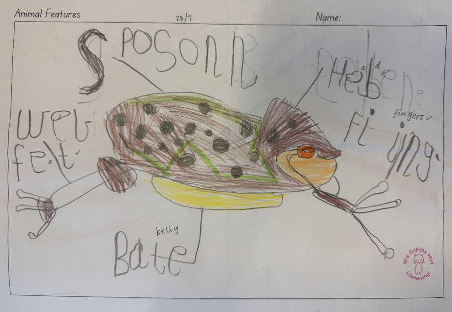 Prep News, Term 3 – Week 4
