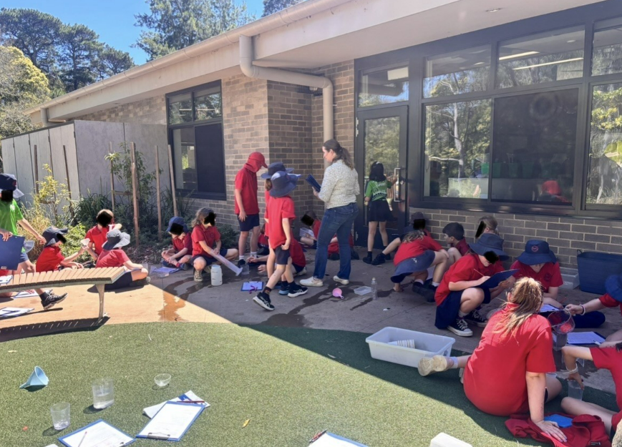 Grade 3/4 News, Term 4 – Week 4